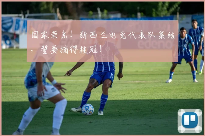 国家荣光！新西兰电竞代表队集结，誓要摘得桂冠！